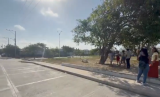 Denuncian envenenamiento de siete perros y dos gatos en barrio de Soledad
