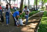 Chicles y colillas en las calles de Bogotá: medidas para promover su disposición adecuada