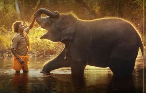 “The Elephant Whisperers”, documental sobre un elefante huérfano, ganó un Óscar