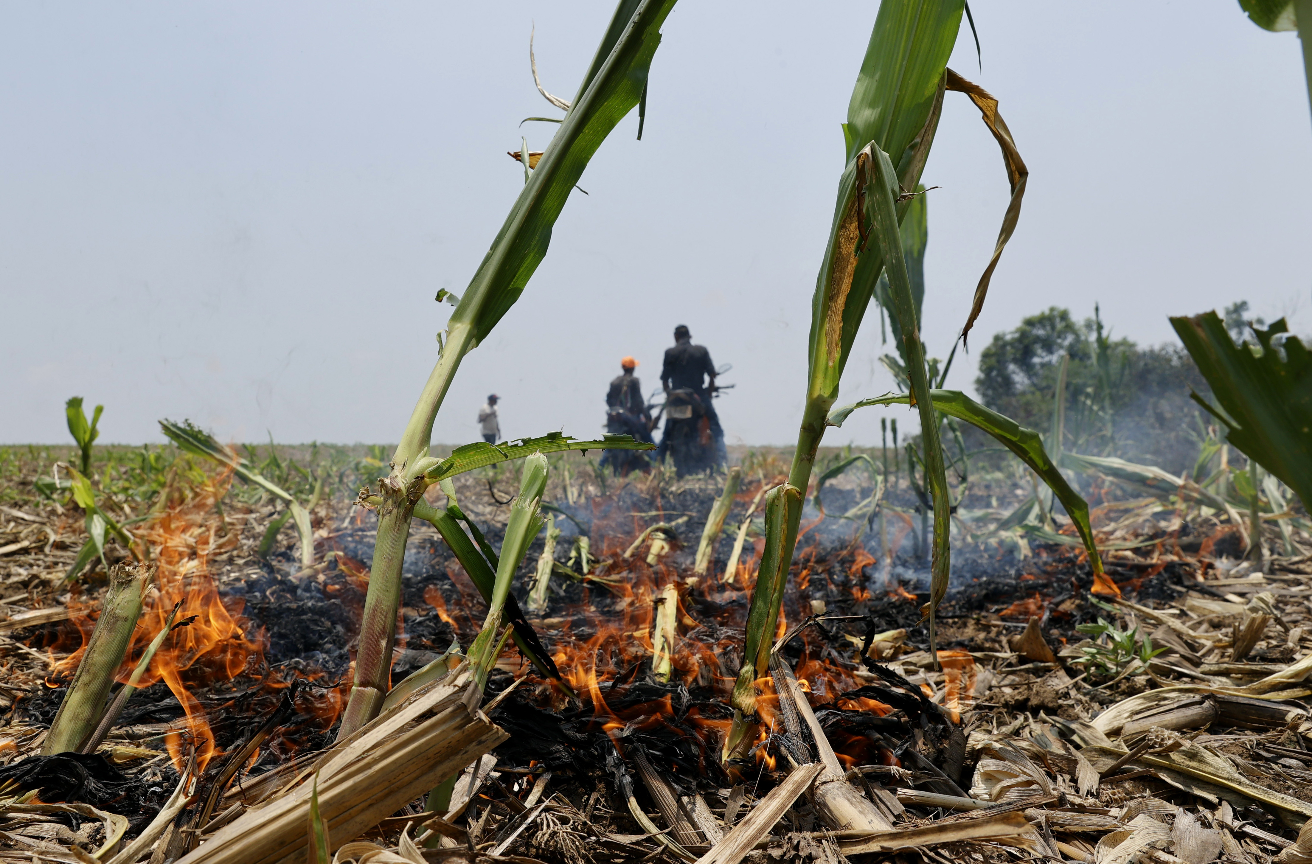 ACOMPAÑA CRÓNICA COLOMBIA TIERRAS PUERTO GAITÁN (COLOMBIA), 27/03/2024.- Fotografía que muestra indígenas Sikuanis mientras observan una quema de tierras, el 16 de marzo de 2024, en Puerto Gaitán (Colombia). "Ayer nos devolvieron", cuentan las autoridades indígenas sikuani frente a la barrera que les impide entrar a sus casas, a la espera de autorización para seguir, y denuncian que sus tierras ancestrales, en el departamento colombiano del Meta, ahora son propiedad de terceros que, según afirman, los compraron de forma irregular. EFE/Mauricio Dueñas Castañeda