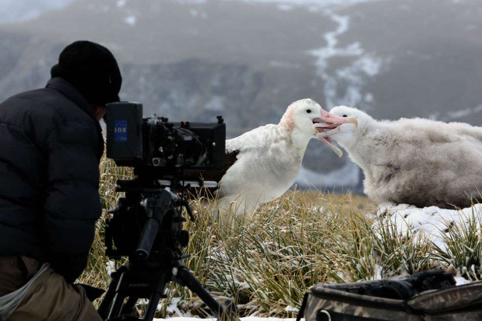 Otra ficha clave en la super producción es Sir David Attenborough, cuya voz, ya característica en los documentales sobre naturaleza, será la encargada de narrar los documentales.