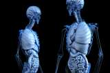 El brain fitness, tendencia para fortalecer y cuidar el cerebro