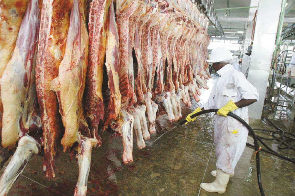 El impuesto a la carne ya se debate en Dinamarca, Alemania y Suecia. / AFP