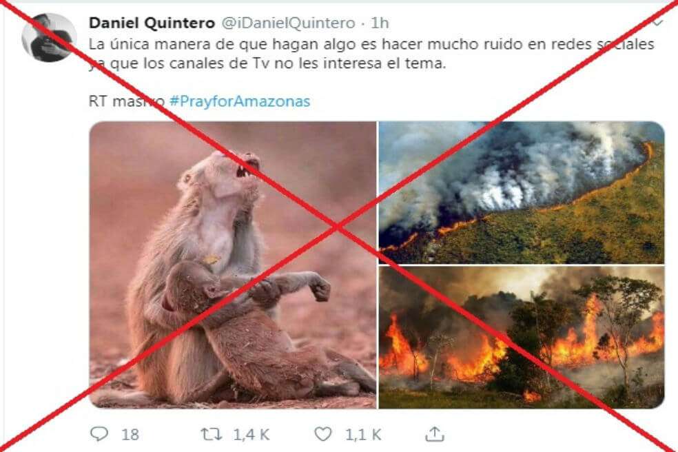 Varias de las imagenes compartidas en redes sociales sobre los incendios en Amazonia son falsas. El fenómeno deja entrever dos cosas: que las grandes tragedias ambientales no deben ser minimizadas por las fake news, y que los incendios en esa región llevan ocurriendo por décadas (pero nunca en esta magnitud). / AFP