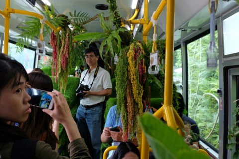 El autobús repleto de plantas que asombra a pasajeros en Taiwan