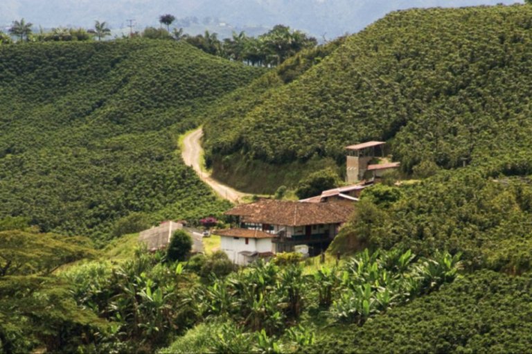 El Paisaje Cultural Cafetero se teñirá de arte en 2016