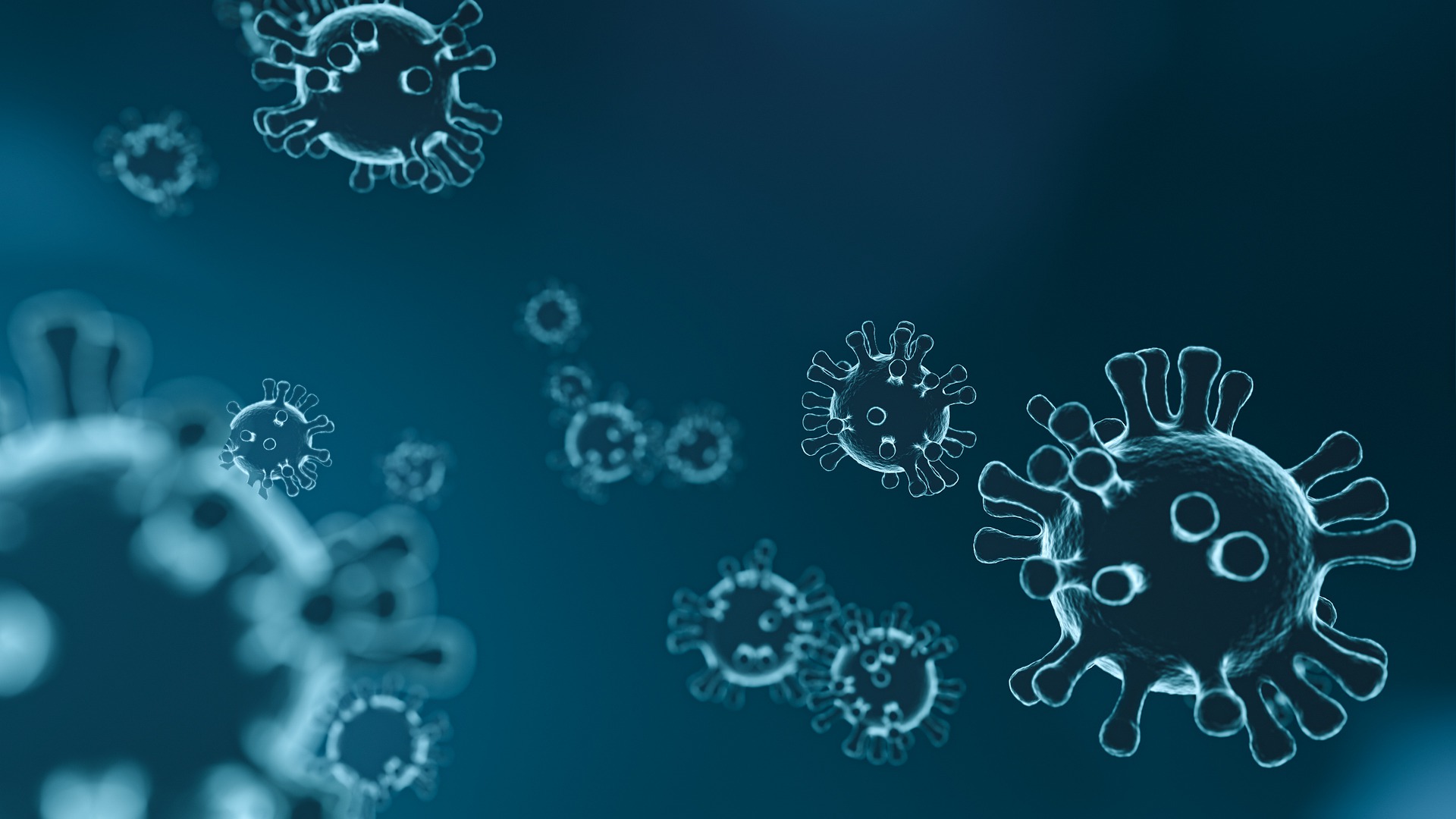 Entre los nuevos virus descubiertos también hay coronavirus.