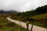Muere niño de infarto tras disparos del Ejército en Sumapaz