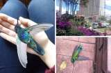 Denuncian mortandad de aves en Bogotá tras la aplicación de un desinfectante