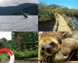 Parque Nacional Natural Utría: el destino de las ballenas jorobadas
