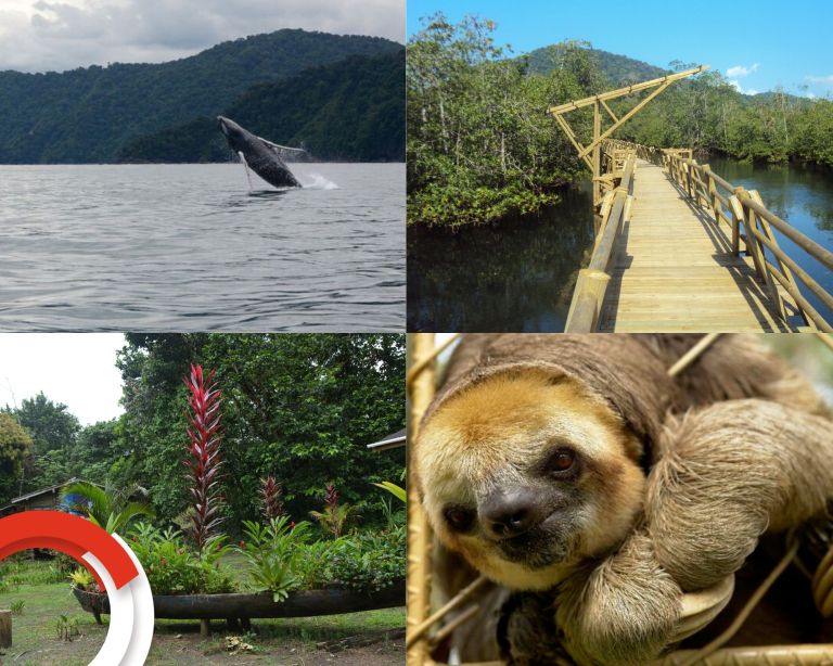 El Parque Nacional Natural Utría se ubica en una zona marino costera, limitando con territorios ancestrales y colectivos de comunidades negras.