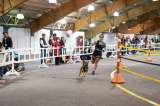 ¿Le gusta correr con su perro? Abren inscripciones para el Campeonato de Canicross