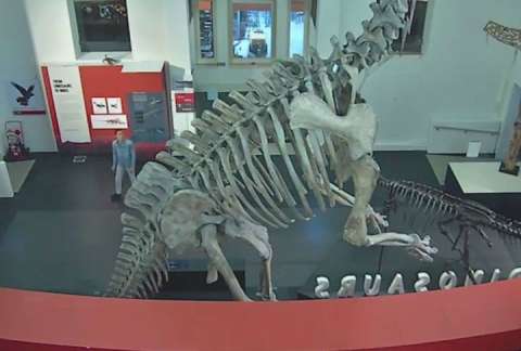 El misterioso hombre que pasó noche en museo de Sídney