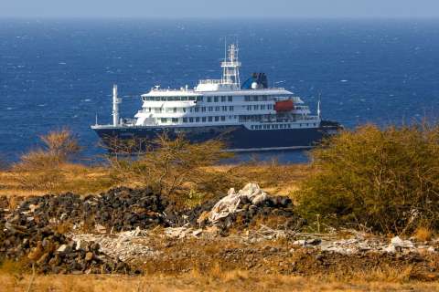 Hantavirus y el crucero MV Hondius: motivos para recobrar la calma
