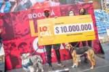 Distrito otorgó beneficios de 10 millones de pesos a 650 microempresarios