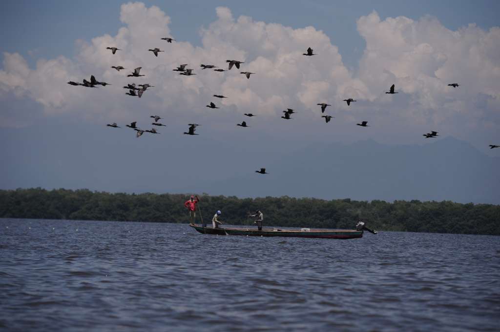 Diferentes aspectos de la Ciénaga Grande de Santa Marta: habitantes, casas, ríos, animales, barcos y el atardecer.