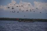 De Wall Street a la Ciénaga Grande: estrategias de los pescadores para sobrevivir