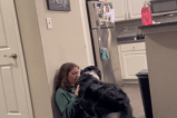 (VIDEO) Perro ayuda a su dueña en medio de un ataque de taquicardia
