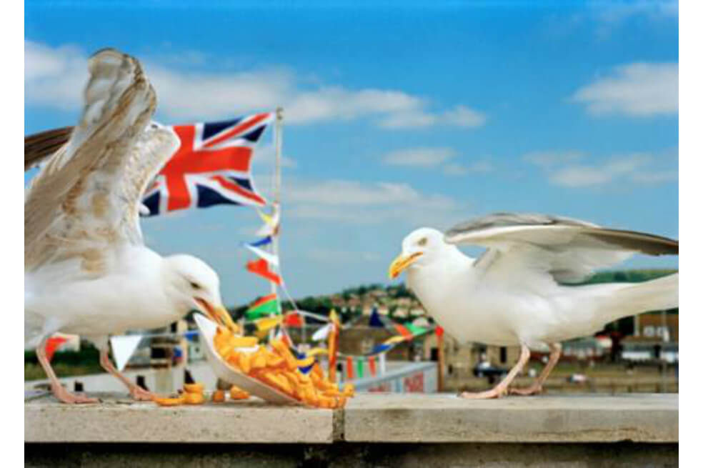 Westbay, England, 1996. / Martin Parr