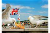 Las fotografías de Martin Parr estarán en el Museo de Arte Miguel Urrutia