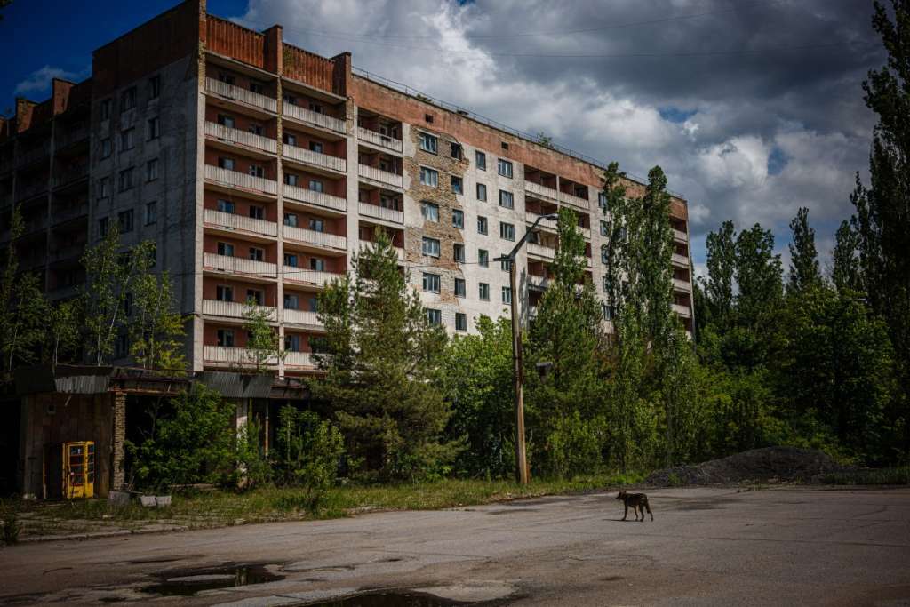(FILES) A photograph shows a dog in the ghost town of Pripyat, near the Chernobyl Nuclear Power Plant on May 29, 2022, amid the Russian invasion of Ukraine.
