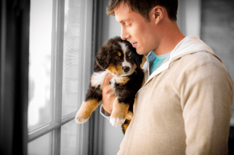 Conozca los beneficios para la salud de tener un perro en casa