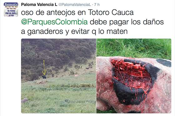 @PalomaValenciaL