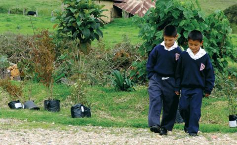 La difícil situación de las escuelas rurales en Colombia