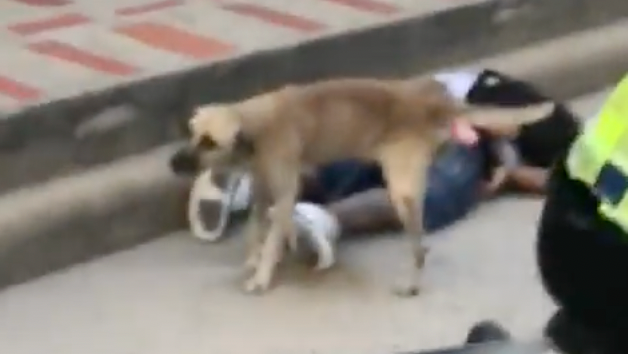 El hecho ocurrió luego de que las autoridades capturaran a quien presuntamente hurtó un celular.