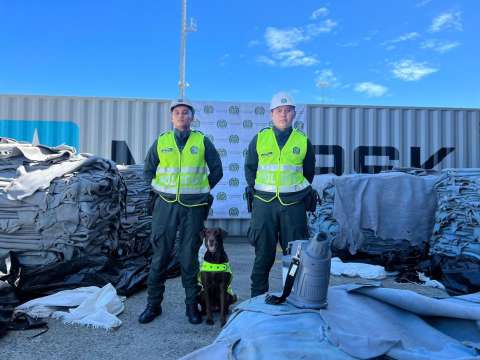 Canino detectó más de 900 kilos de cocaína impregnados en cuero de vaca