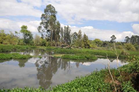 Fallo confirma que Alcaldía de Petro avaló proyecto que afectaba el medio ambiente