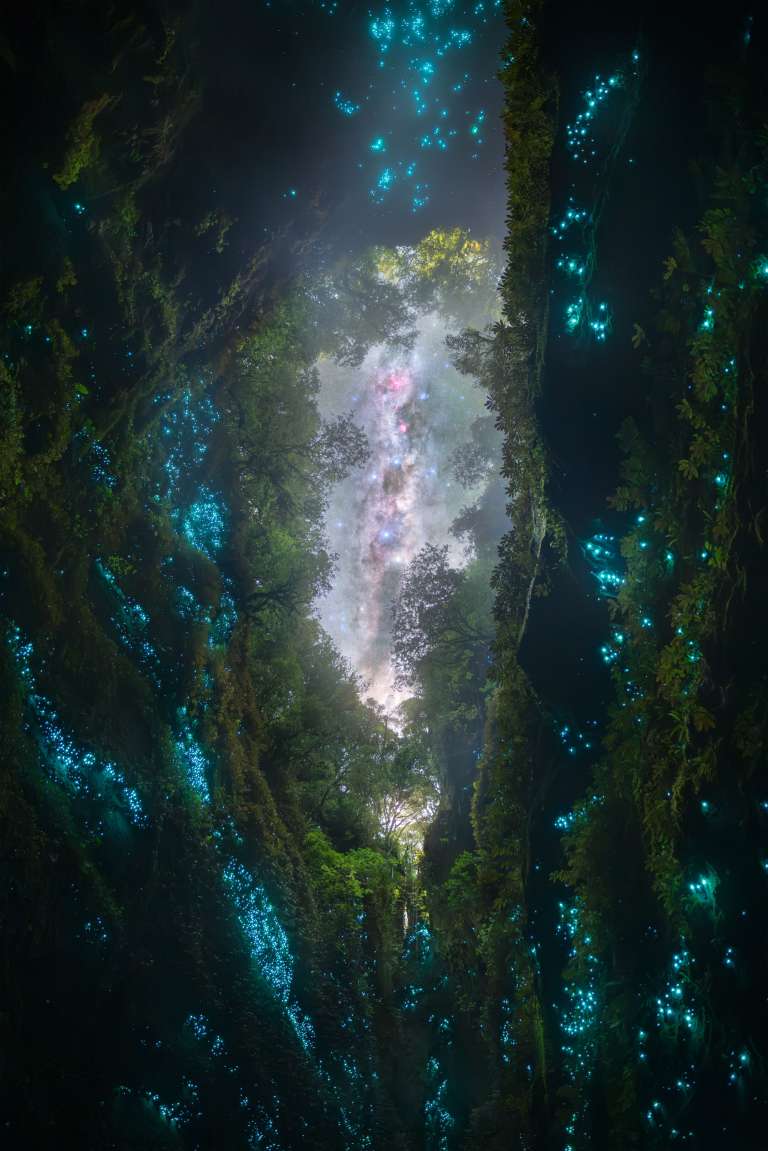 Estas imágenes se captaron tras descender en rapel más de 100 metros (330 pies) en vertical hasta un extenso sistema de cuevas de la Isla Norte de Nueva Zelanda, por la noche. La caverna cobraba vida por la noche gracias a las luciérnagas y a sus frágiles ecosistemas, un espectáculo de otro mundo oculto en lo más profundo de un paisaje moldeado a lo largo de millones de años. Fotografiar este entorno por la noche supuso un reto increíble. La humedad extrema, la tenue luz de las luciérnagas y las largas exposiciones llevaron mis habilidades al límite.