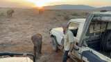 En video: cría de elefante huérfana, de cuatro meses, se reencuentra con su familia