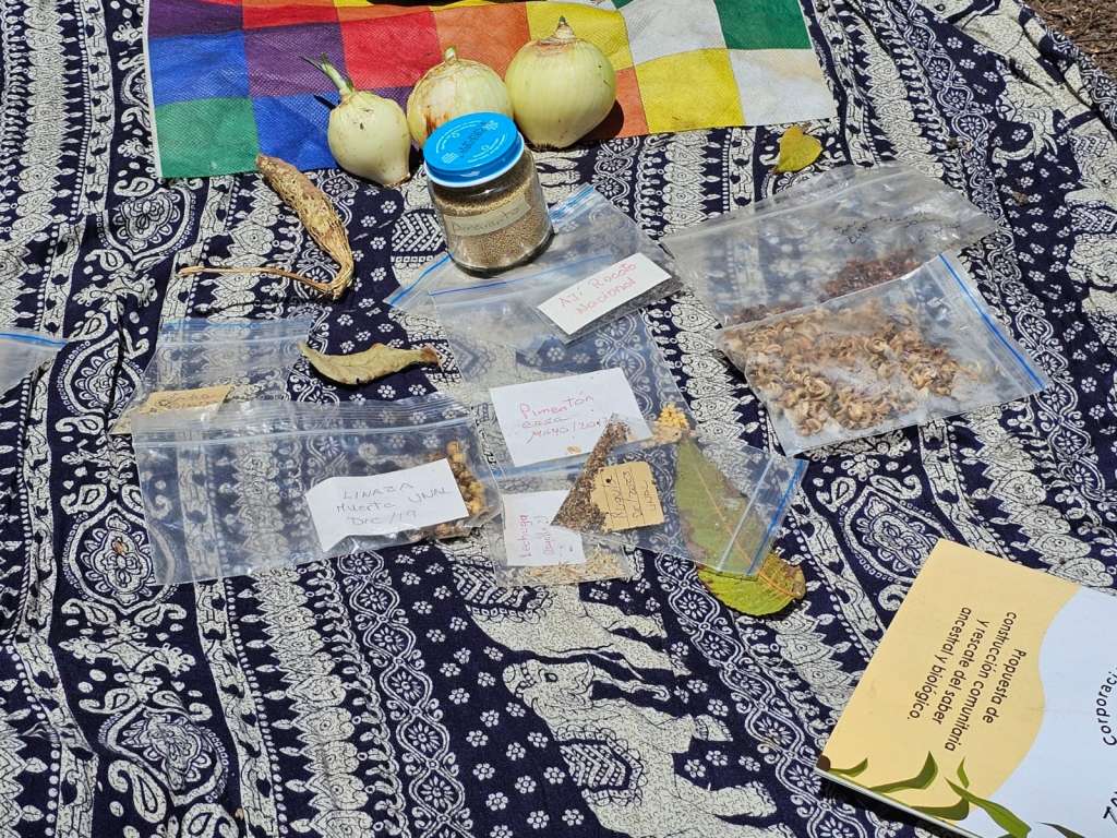 Algunos participantes ahora producen y venden aceites esenciales y otros productos hechos con lo cultivado, comercializándolos en ferias de mercados campesinos y huerteros urbanos.