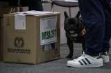 En fotos: así transcurrió la votación de la Consulta Anticorrupción