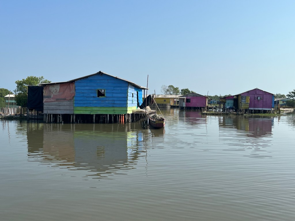Así puede conocer la Ciénaga Grande de Santa Marta en un turismo que beneficia a todos