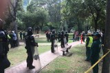 Tala de árboles del parque Japón, en el oriente de Bogotá, se hizo con presencia del Esmad