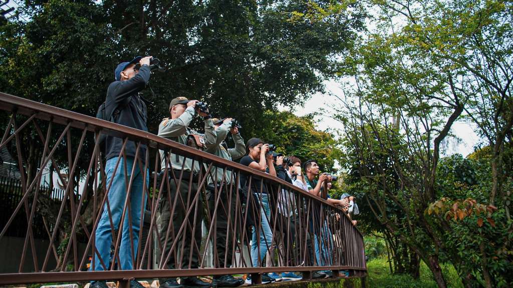 Cali es una ciudad líder en eventos de ciencia ciudadana y avistamiento de aves.