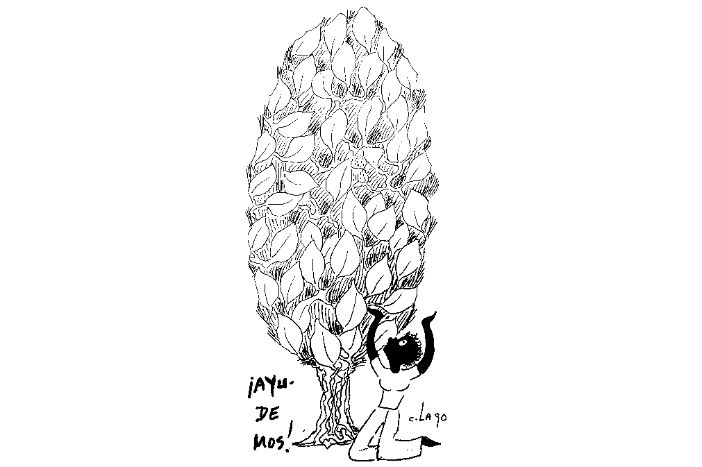 Caricaturas