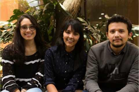 Brava, la tauromaquia como documental