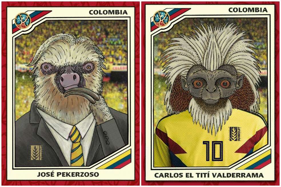 Ilustraciones de Giovanni Parrado - Instituto Humboldt