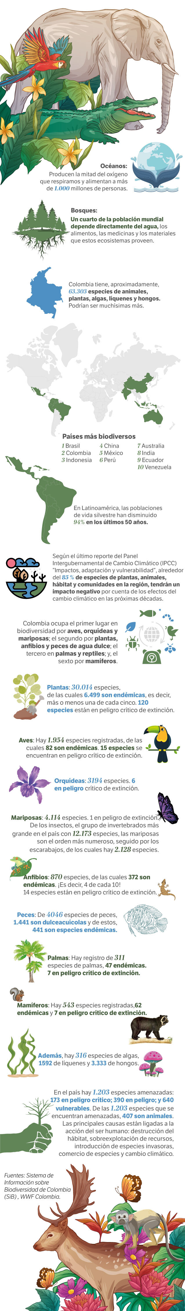 En términos de biodiversidad, en Colombia hay más de 60.000 especies de animales, plantas, algas, hongos y líquenes.