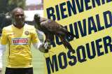 Aquivaldo Mosquera, a un paso de coronarse campeón en el fútbol de México