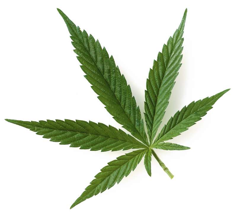 El mercado de Cannabis medicinal en Colombia es de más de 5 millones de personas, según Khiron.  / Getty Images.