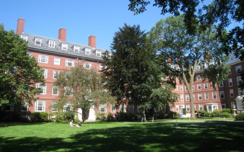 Las mejores universidades por materia, según QS World University Rankings 2025
