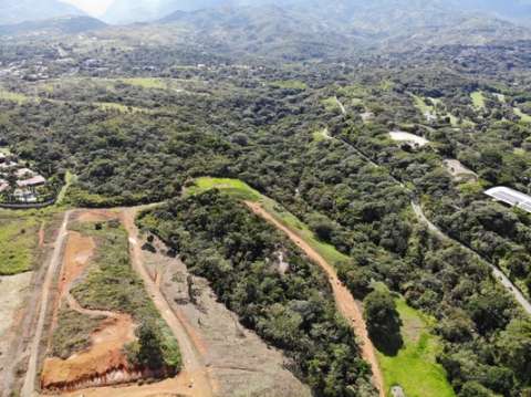 La polémica por la intervención del humedal Zanjón del Burro en el sur de Cali