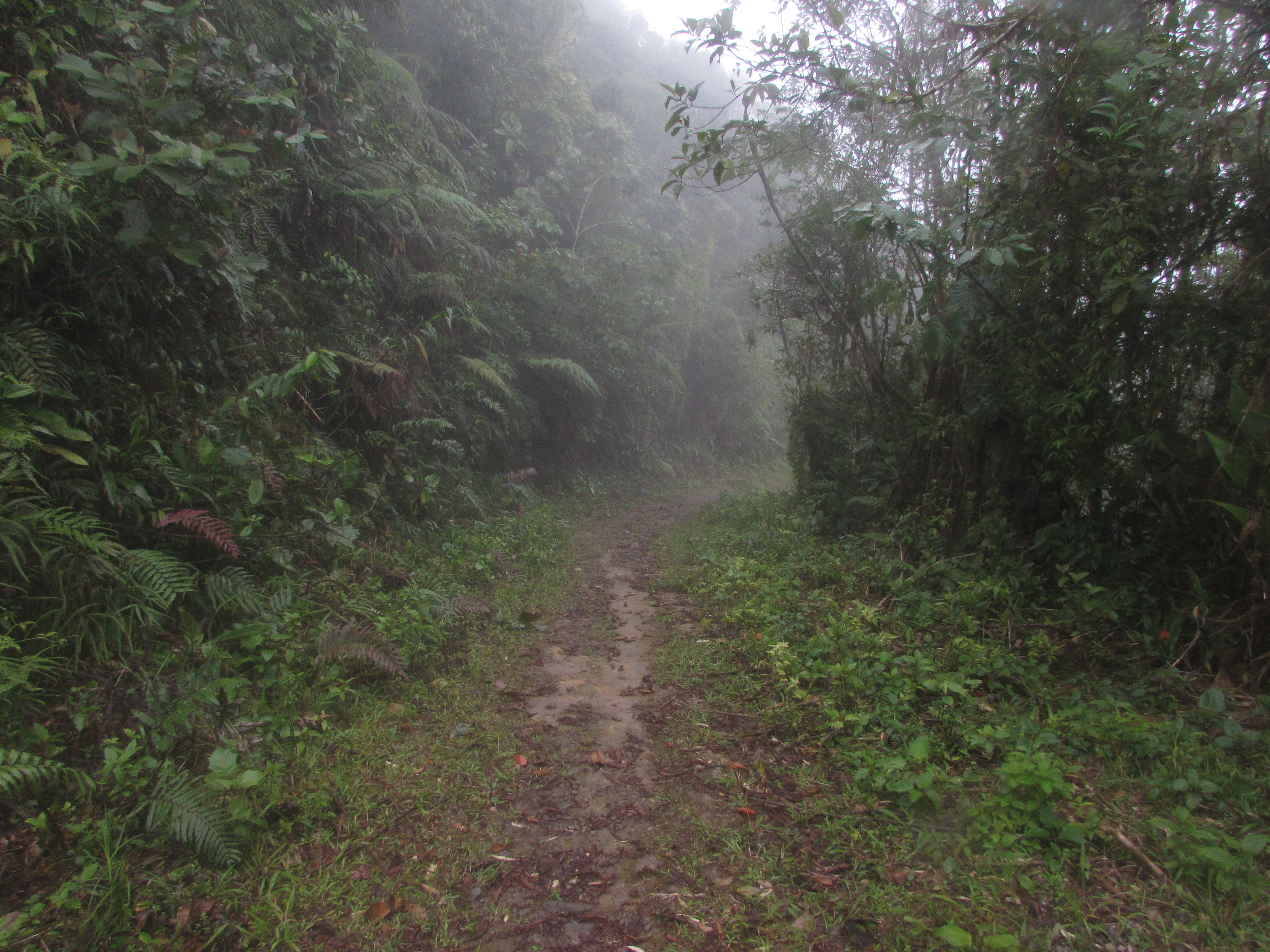 Al interior del Parque Natural Municipal Andakí, que protege 27.000 hectáreas.