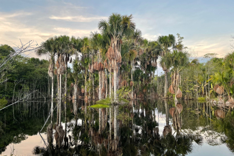 Llega a la cinemateca la película “Amazonas, el río más largo del mundo”