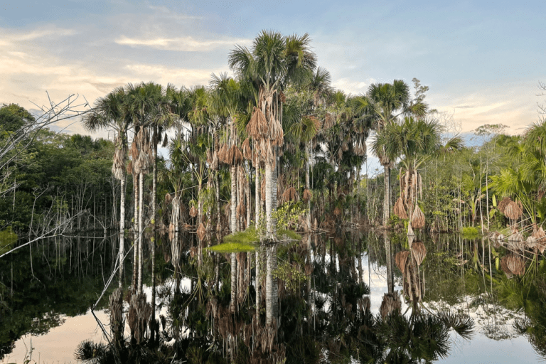 Llega a la cinemateca la película “Amazonas, el río más largo del mundo”