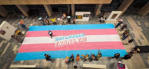 Avanza la Ley Integral Trans en la Cámara de Representantes